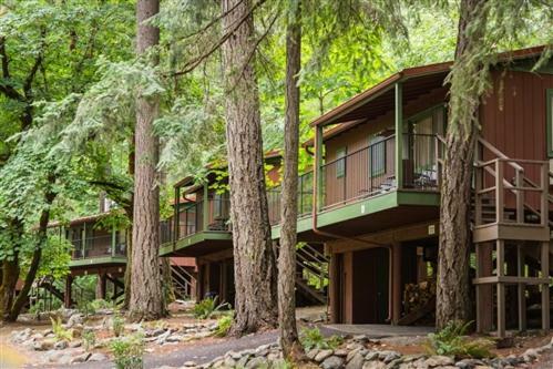 Morrisons Rogue River Lodge