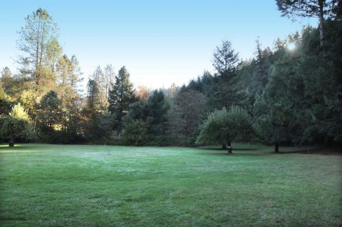 Morrisons Rogue River Lodge