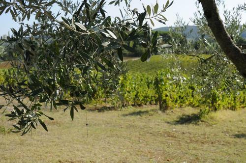 Villa S.andrea Antico Podere Zobi