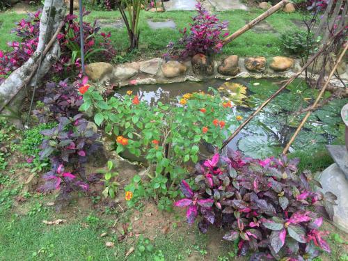 Vu Homestay