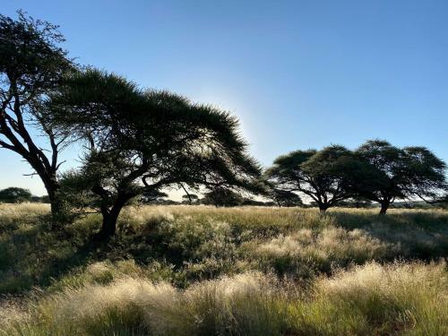 Imbasa Safari Lodge
