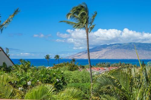 Maui Kamaole #l-202