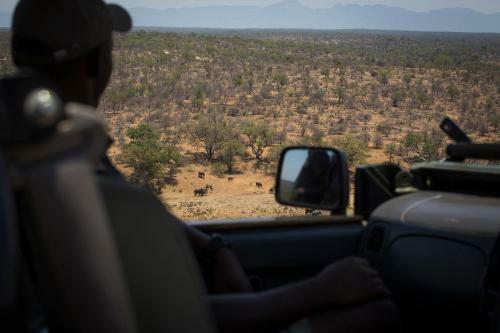 Isilimela Game Lodge