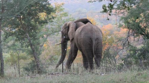 Isilimela Game Lodge