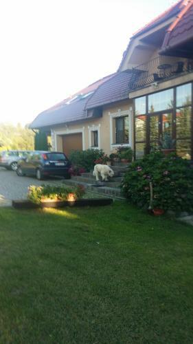 Hostal Go?ciniec S?oneczny