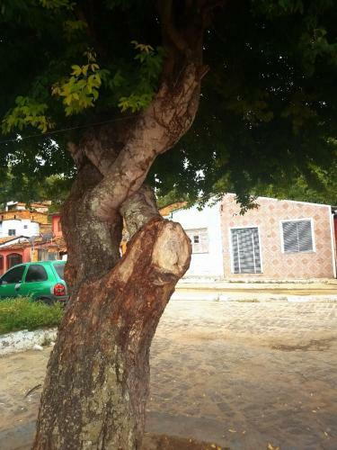 Morada Vip