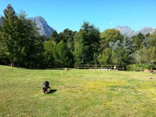 Hostal Glasshouse In The Winelands