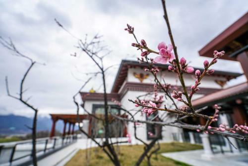 Hotel Hilton Linzhi Resort