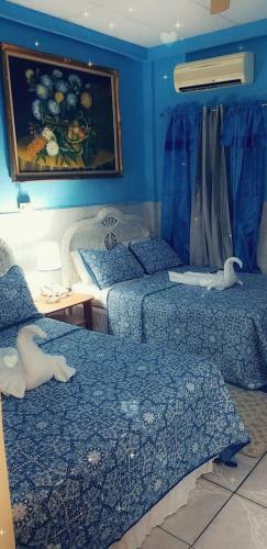 Hostal Caribbean Tourist Villa