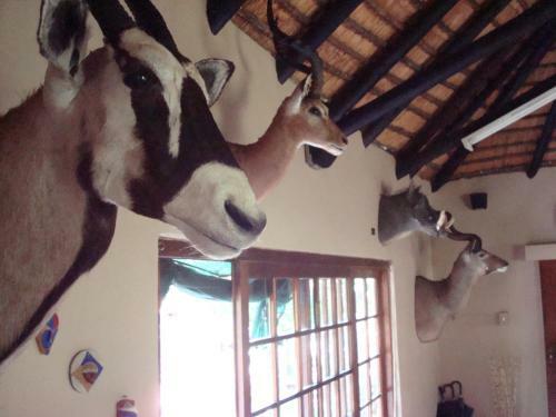 Lodge Shakati Private Game Reserve