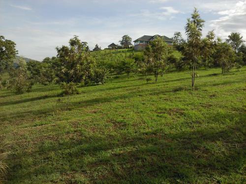 The Crested Crane Bwindi Hotel
