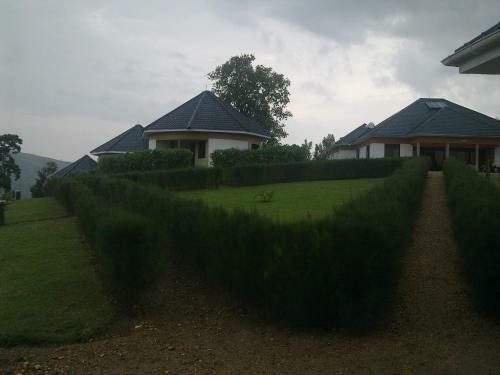 The Crested Crane Bwindi Hotel
