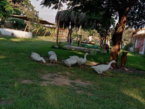 Agroturismo La Vi�a De Oscar