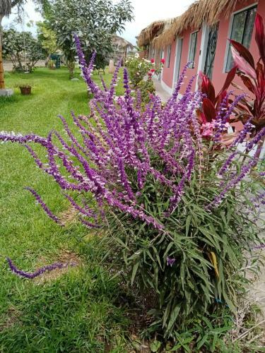 Agroturismo La Vi�a De Oscar