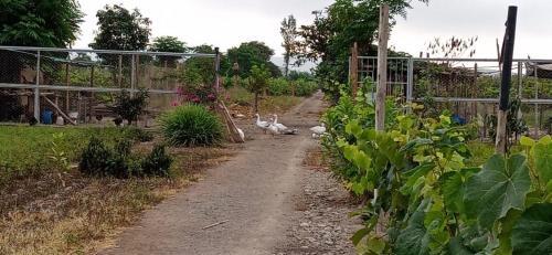 Agroturismo La Vi�a De Oscar