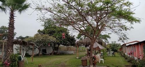 Agroturismo La Vi�a De Oscar