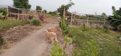 Agroturismo La Vi�a De Oscar