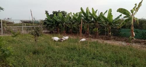 Agroturismo La Vi�a De Oscar