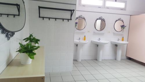 Ciw Hostel