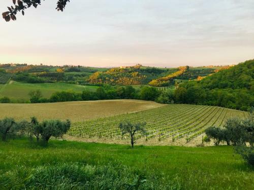 Agroturismo La Valle A Polvereto