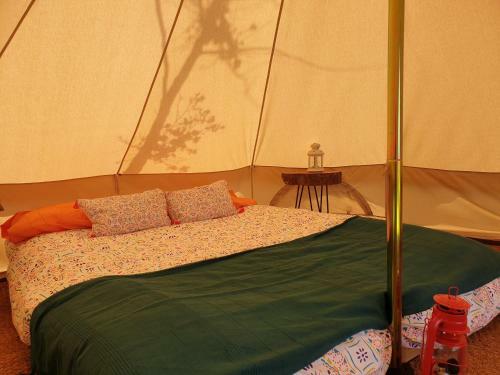 Rinlocosta Camping