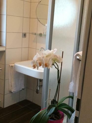 Hotel Gasthof Zuck