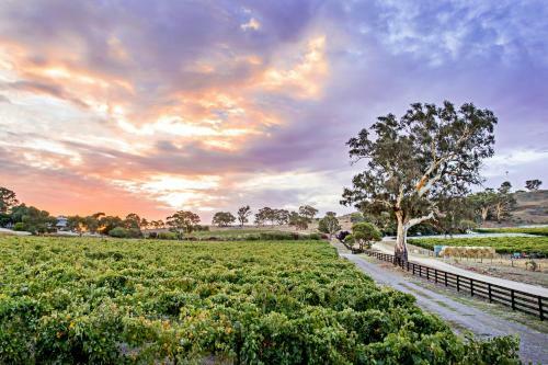 Brockenchack Vineyard Bed & Breakfast