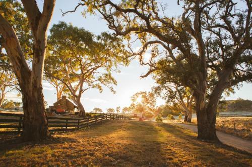 Brockenchack Vineyard Bed & Breakfast