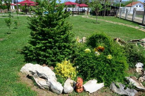 Hostal Guest House Misha