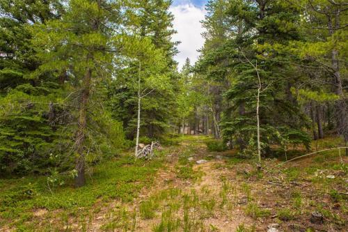 Mountain Rv Experience On 35 Acres