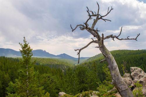 Mountain Rv Experience On 35 Acres