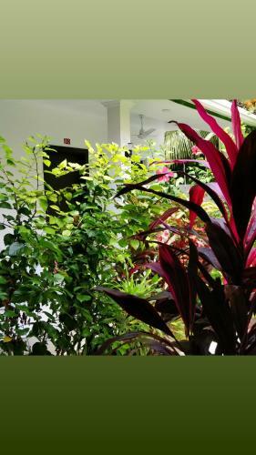 Hostal Athiriveli