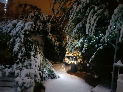 Apartamento Borgo Vecchio *dream*