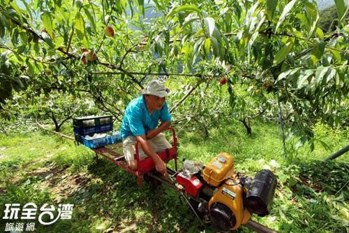 Da Kuan Peach Farm Resort