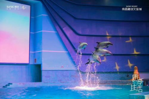 Hotel Novotel Nanchang Sunac