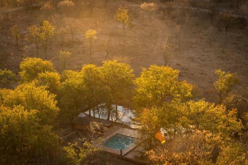 Lodge Chacma Bush Camp