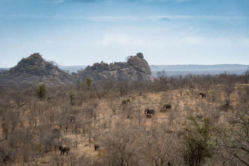 Lodge Chacma Bush Camp