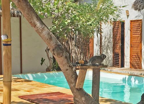 Bed & Breakfast Pousada Castelo Do Vento