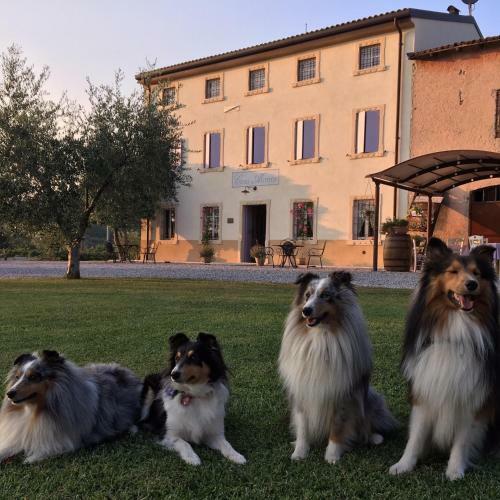 Agroturismo Agriturismo Casa Aurora