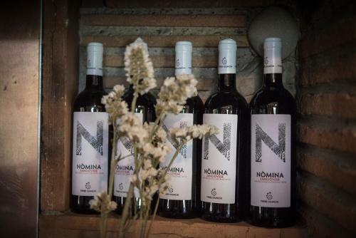 Agroturismo Agricola Casa Cucina Bottega