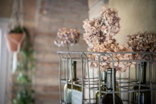 Agroturismo Agricola Casa Cucina Bottega