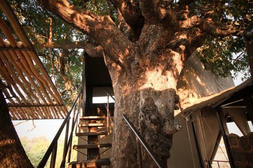 Lodge Jackalberry Tented Camp