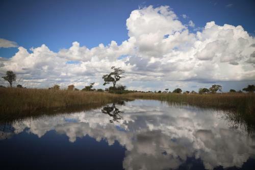 Lodge Jackalberry Tented Camp