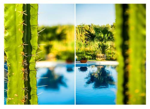 Apartamento Villa Swan