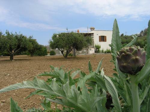 Marcello Country Houses