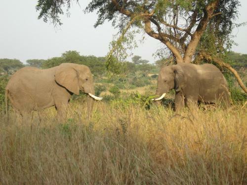 Sambiya River Lodge