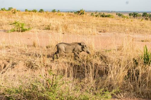 Sambiya River Lodge