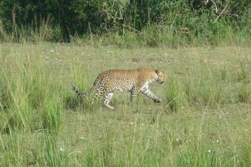 Sambiya River Lodge
