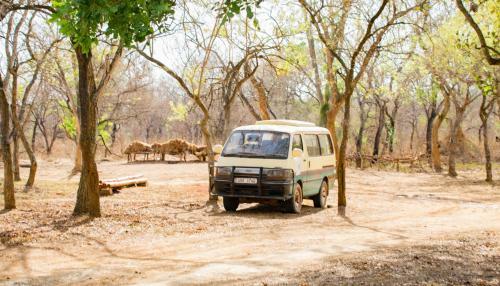 Sambiya River Lodge
