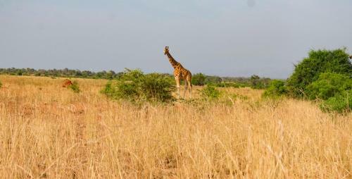 Sambiya River Lodge